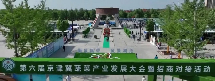 第六届京津冀蔬菜产业发展大会成功在 河北饶阳大尹村镇万亩蔬菜基地举办